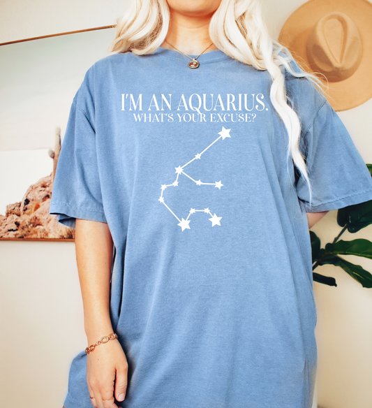 I'm An Aquarius. What's Your Excuse? Shirt | Unisex Tee