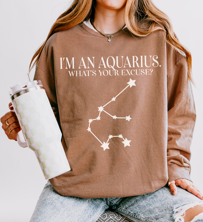 I'm an Aquarius. What's Your Excuse? | Unisex Lightweight Sweatshirt