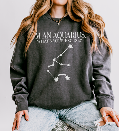 I'm an Aquarius. What's Your Excuse? | Unisex Lightweight Sweatshirt