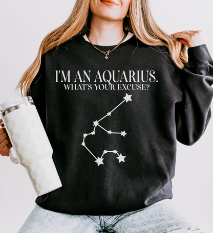 I'm an Aquarius. What's Your Excuse? | Unisex Lightweight Sweatshirt